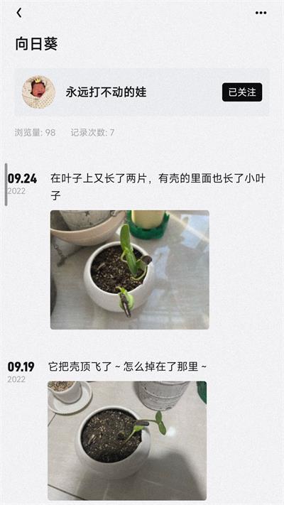 小植物截图