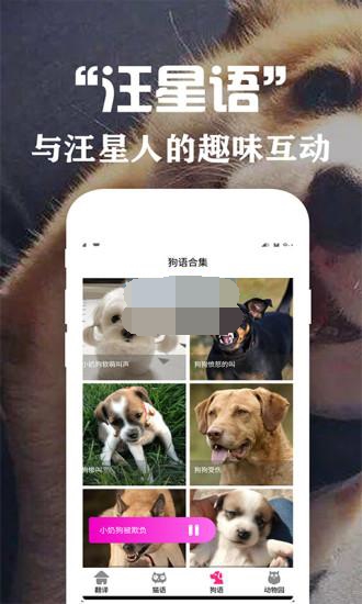 狗语交流器截图