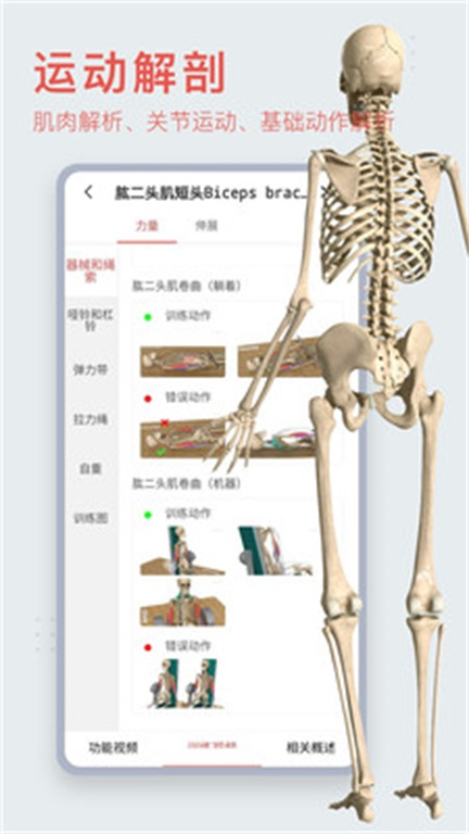 3dbody解剖学截图