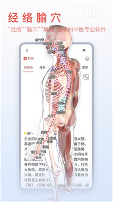 3dbody解剖学截图