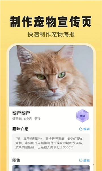 猫老板截图