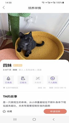 小猫先生截图