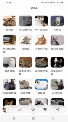 小猫先生截图