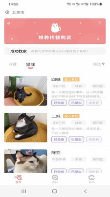 小猫先生截图