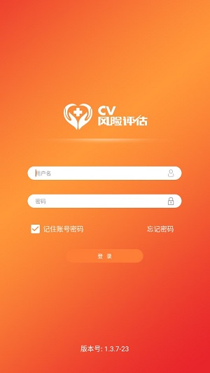 CV风险评估截图