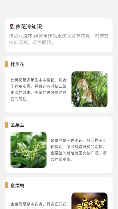 百花悦看截图