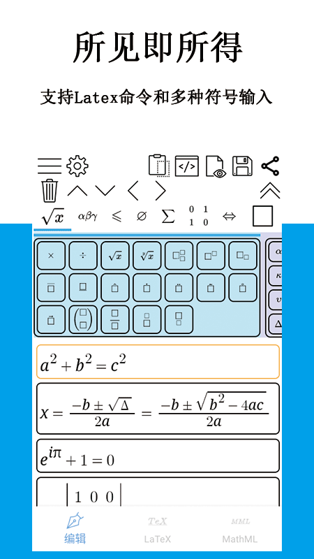 公式编辑器截图