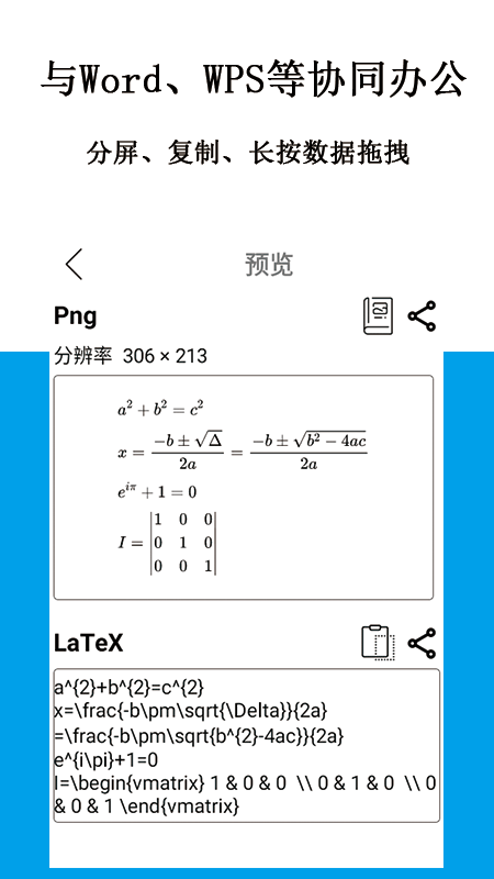 公式编辑器截图