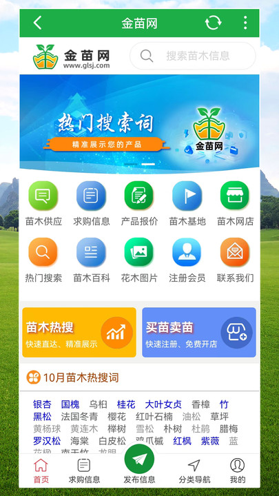 金苗网截图