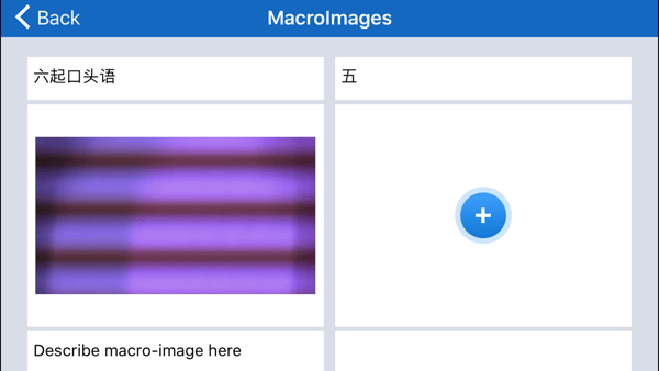 MoticNet