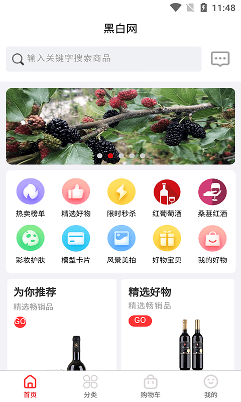 黑白网截图